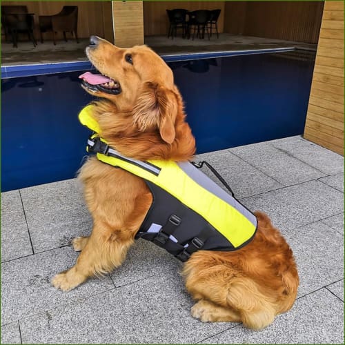 Gilet de sauvetage pour chien - veste de flottaison pour grand chien