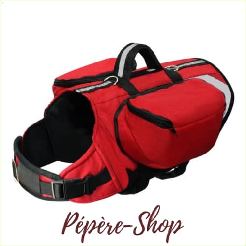Harnais Avec Poche Pour Chien Réfléchissant Rouge / 44 - 62Cm