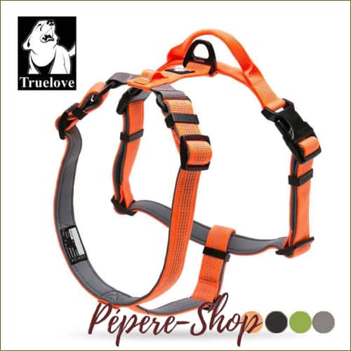 Harnais TRUELOVE Mountain pour chien - trecks et excursions -PEPERE SHOP