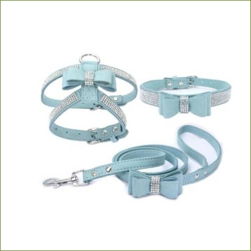 Harnais collier et laisse pour chiot bleu / L