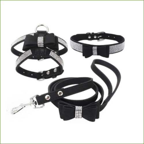 Harnais collier et laisse pour chiot Noir / L
