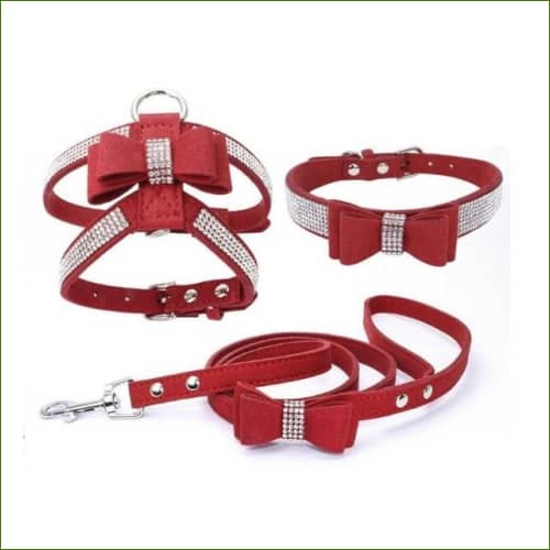 Harnais collier et laisse pour chiot Rouge / L