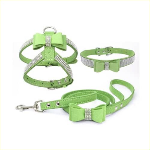 Harnais collier et laisse pour chiot Vert / L