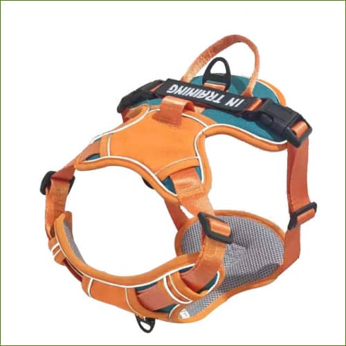 Harnais chien Noir Bleu / L