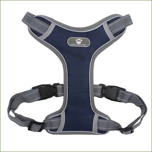 Harnais Bleu Foncé / M