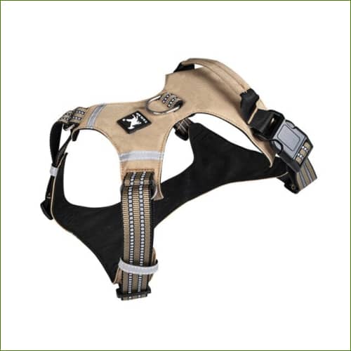 Harnais pour animaux avec Poignée Vert / Xl