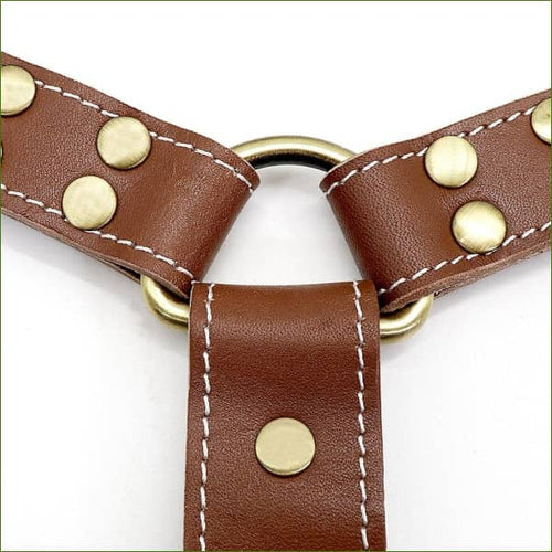 Harnais triple attache - modèle en cuir véritable - détail anneau en acier