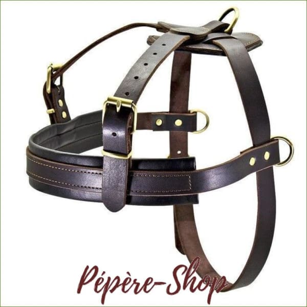 Harnais De Conduite Luxe Noir Super Cob/Maxi Cob - Cuir Harnais De Conduite Luxe Noir Super Cob/Maxi Cob - Cuir
