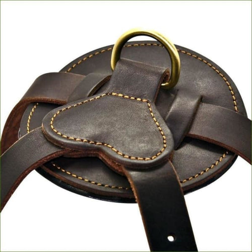 harnais en cuir pour molosse : détail de l'attache de laisse