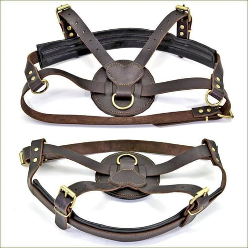 Harnais molosse en cuir : vue de dessus