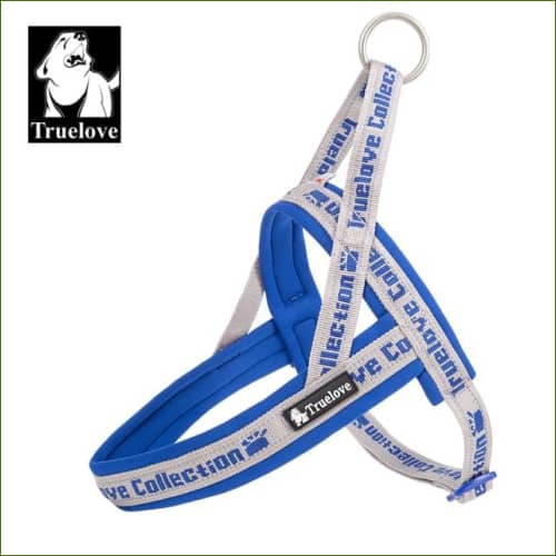 Harnais néoprène TRUE LOVE Bleu / S