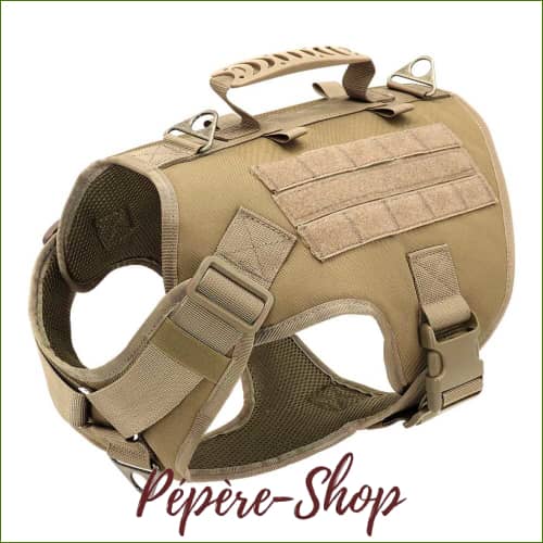 Harnais bergers allemands avec poignée