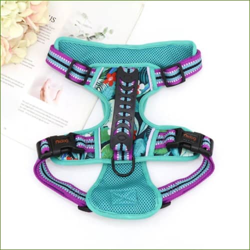 boucles à dégagement rapide