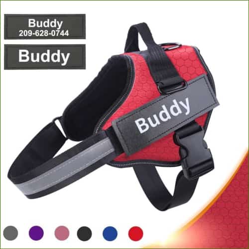 harnais personnalisé pour chiens