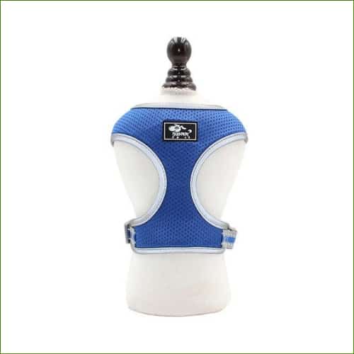 Harnais pour corgi blue / S