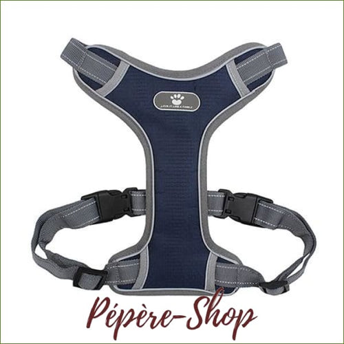 Harnais pour Husky - Husky Sibérien - chiot ou adulte - Bleu / L-PEPERE SHOP