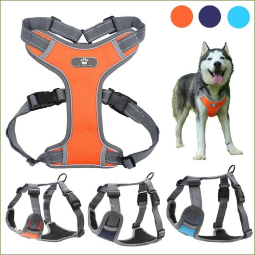 Harnais vue de coté