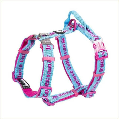 Fuschia/bleu clair / Xs