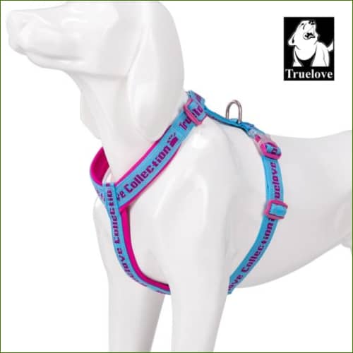 harnai canicross - Fuchsia / L