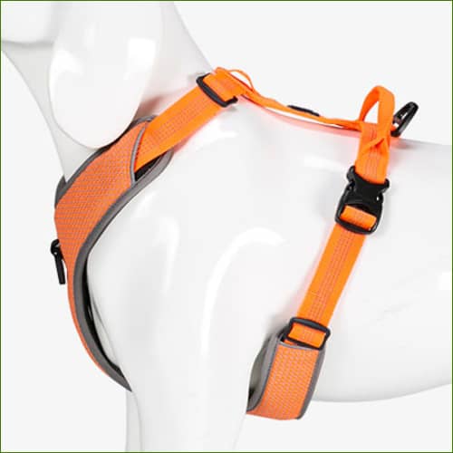 Harnais TRUELOVE pour animal de compagnie