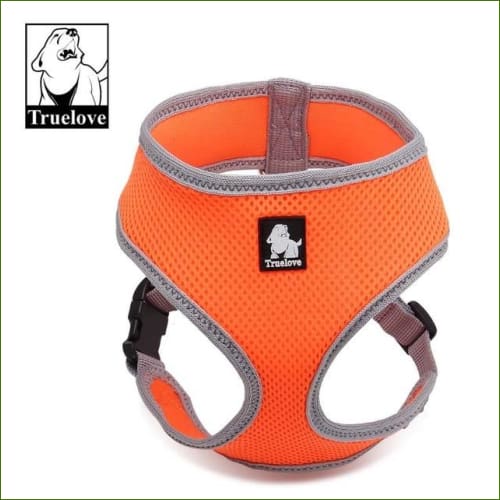 Harnais de dressage orange / L