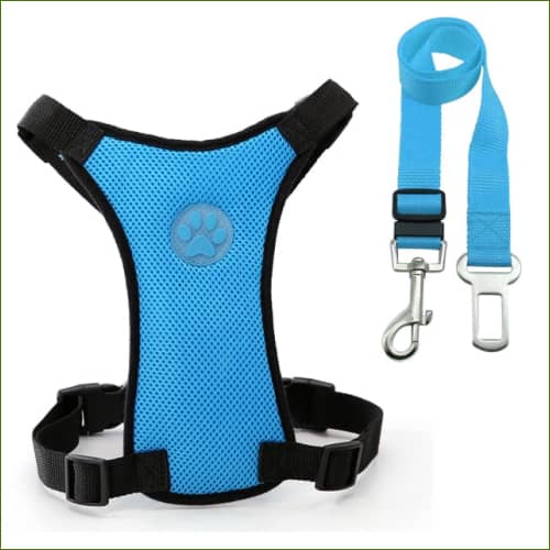 Harnais De Sécurité voiture pour chien Bleu / L