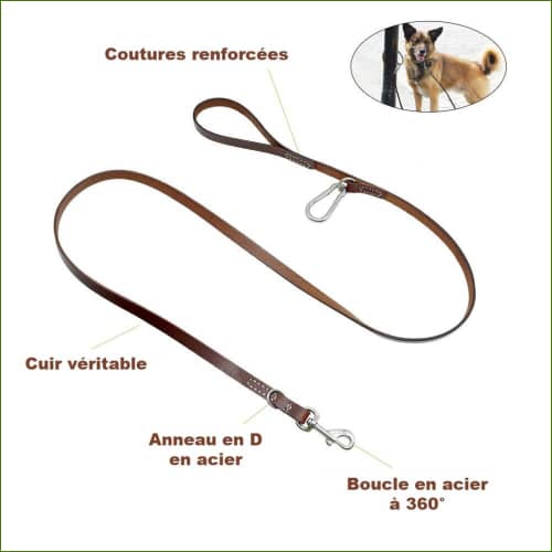 Laisse en cuir pour gros chien avec anneau en acier couleur Marron - détails
