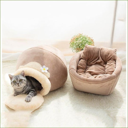 en situation avec un chaton