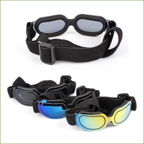 doggles pour petits chiens