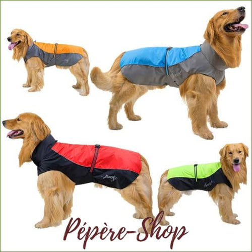 Manteau coupe vent et étanche pour chiens de grande taille -PEPERE SHOP