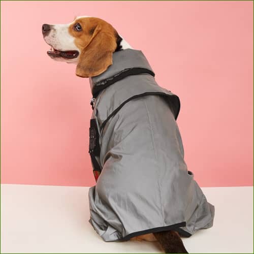 Manteau Pour Beagle - Imperméable 4 Pattes Impermeable vue de derrière