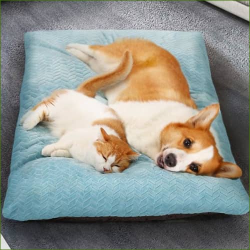 Matelas Épais Pour Chien Jusquà 30Kg - Déhoussable