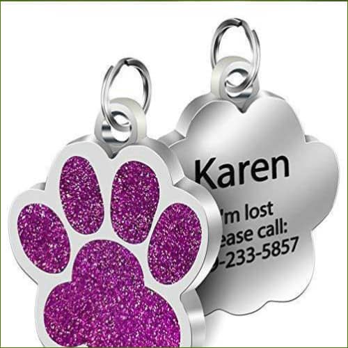 Médaille Gravée Pour Chien - Modèle Design De Luxe Violet / L