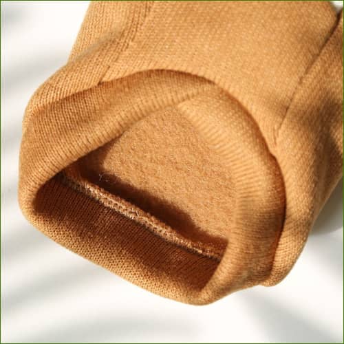 Pull Pour animal de compagnie