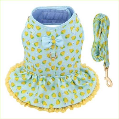 Robe Pour Chien Chic Et Élégante Avec Laisse Assortie Bleu / L