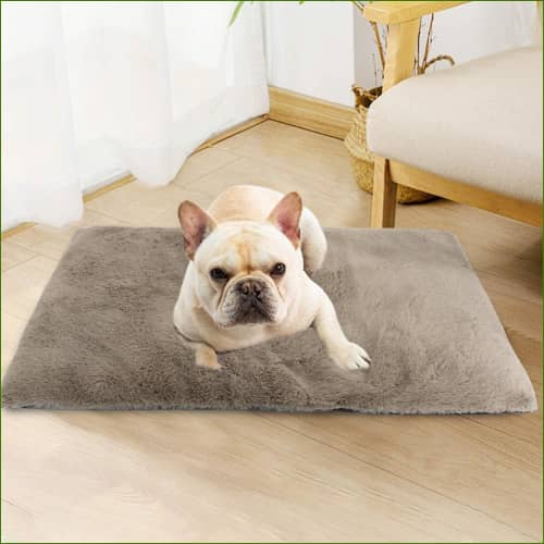 Tapis Pour animal de compagnie avec un bouledogue