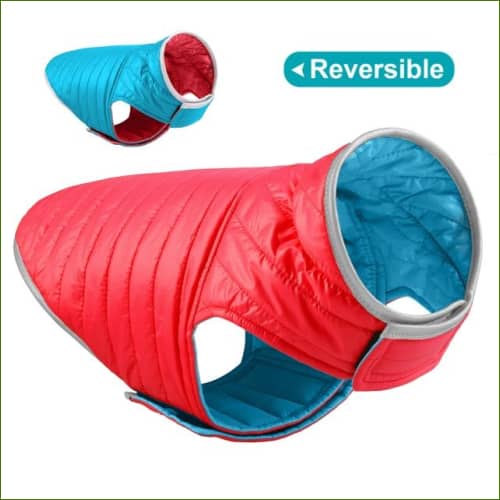 Veste Pour Bouledogue Français Imperméable Manches Courtes Rouge / Xl