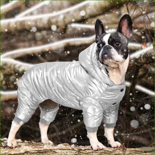 Habit d'hiver Pour Chien Chaud Et Design Argent / M