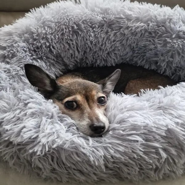 Lits et couchages pour chiens