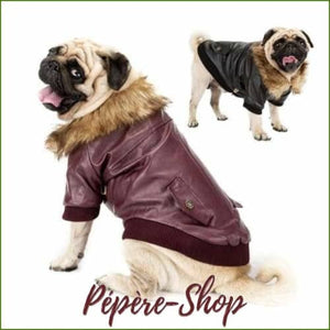 Blouson en cuir pour chien , modèle doublée en polaire , design aviateur/