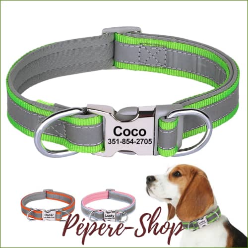 Collier Avec Prénom En Nylon Réfléchissant Pour Jack Russell