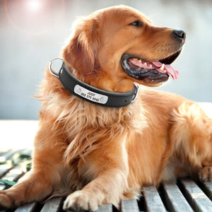 Accessoires personnalisés pour chien