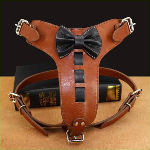 Carquois en cuir marron, avec sangle arrière (64 cm.) ⚔️ Boutique