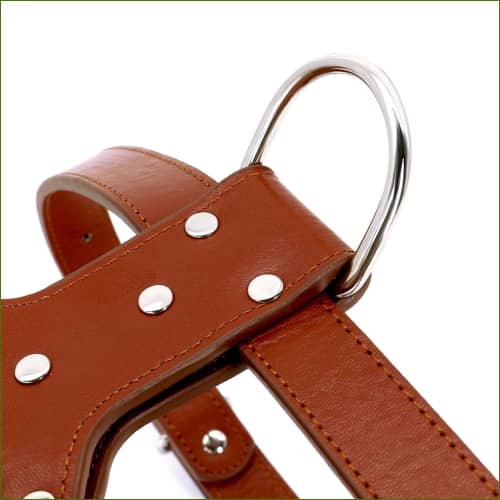 Harnais Front Range® | Harnais Anti-Traction | UK