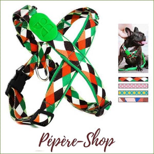 Harnais luxe pour chien