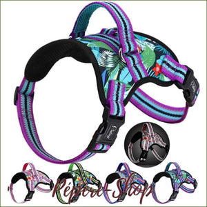 Harnais de promenade pour chien au design fantaisie ajustable et rembourré