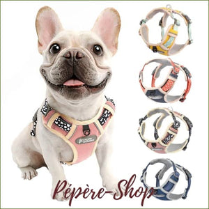 Harnais pour chiens original et fantaisie