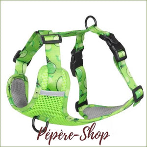 Harnais en nylon pour chien PET ARTIST, avec sa laisse assortie, design et coloré Vert / M/