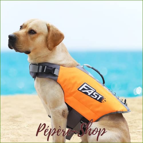 Veste De Sauvetage Pour Chien - Natation Et Activités Nautiques Canines