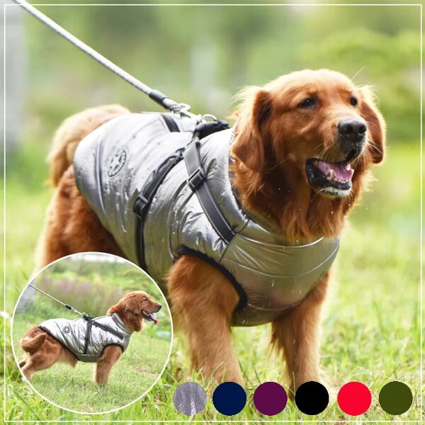 Manteau harnais pour chien silver sur un labrador